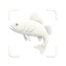 Fishly logo