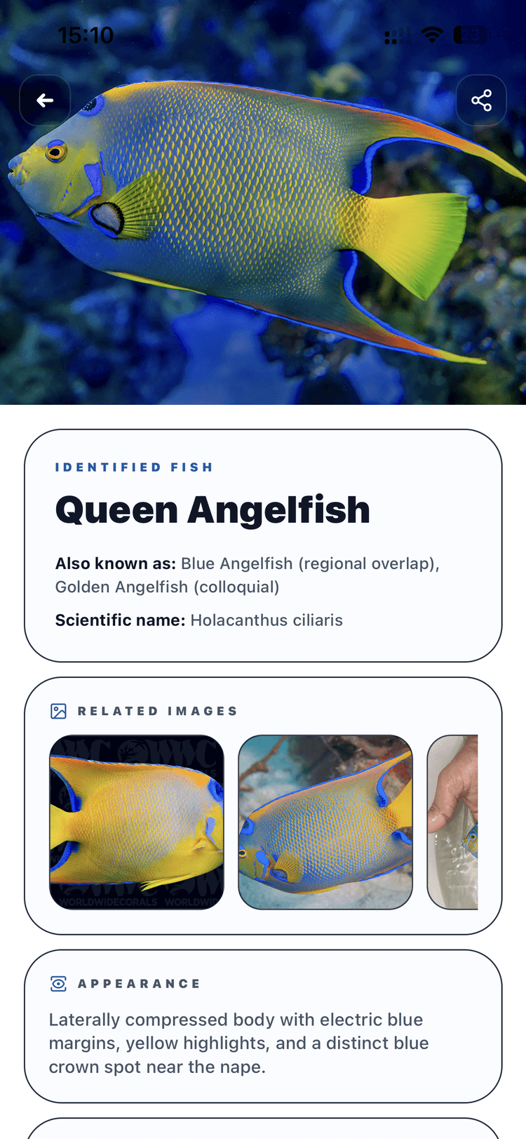 Fishly app preview with fish identification results